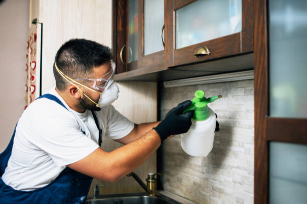 Best Termite Control Services  in Girard, PA