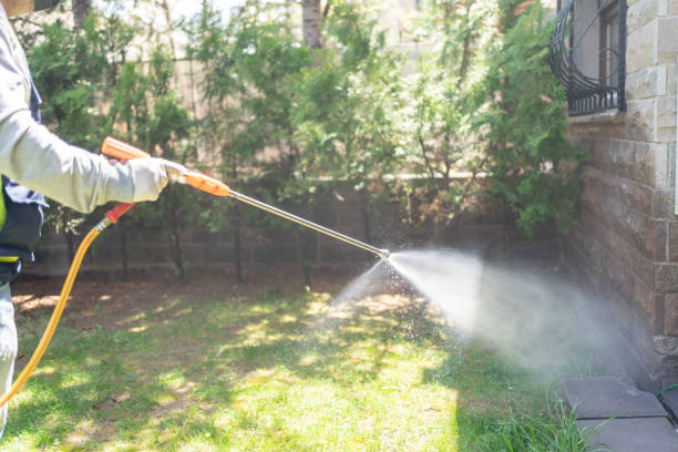 Best Pest Removal Services  in Girard, PA